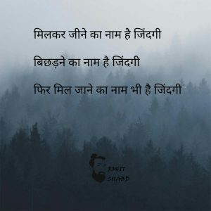 इसीका नाम जिंदगी