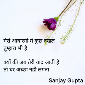 मेरी आवारगी में कुछ दखल तुम्हारा भी है 